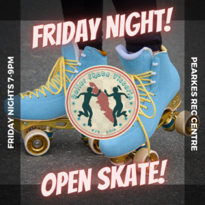 Friday Night Open Skate